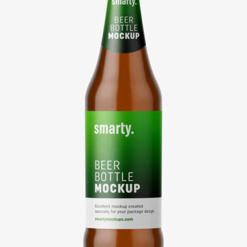 Imagination In Action